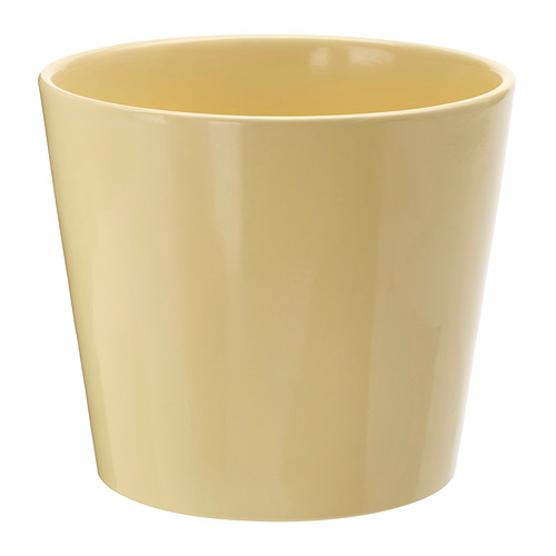 SOJABÖNA, plant pot