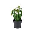 FEJKA artificial potted plant