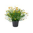 FEJKA artificial potted plant
