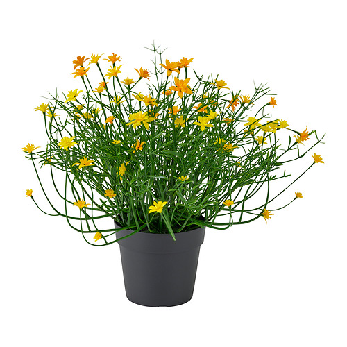 FEJKA, artificial potted plant