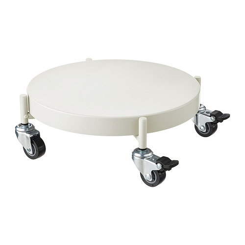 OLIVBLAD, plant mover