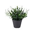 FEJKA artificial potted plant