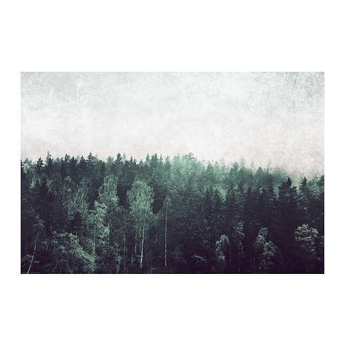 BILD, poster