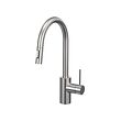SALLSJÖN kitchen mixer tap pull out w spray