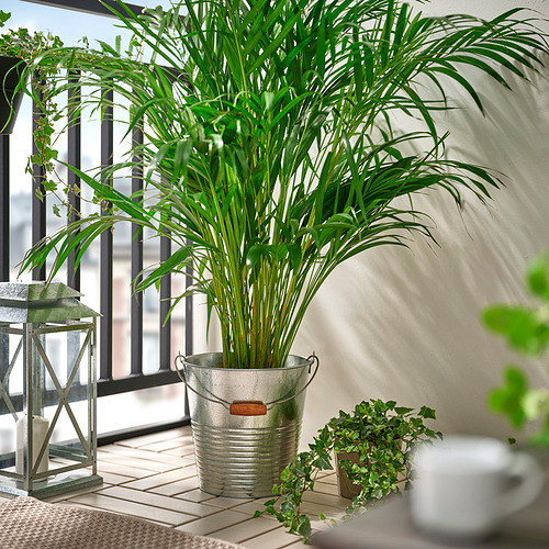 KORKGRAN, bucket/plant pot