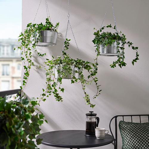 KORKGRAN, hanging planter