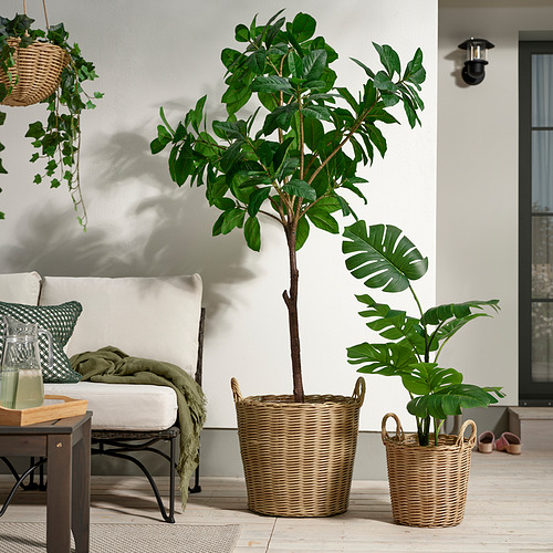 FLODBJÖRK, blómapottur