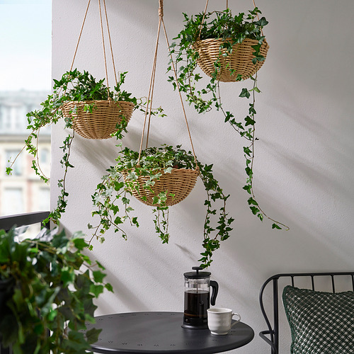 FLODBJÖRK, hanging planter