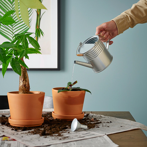 KORKGRAN, garðkanna