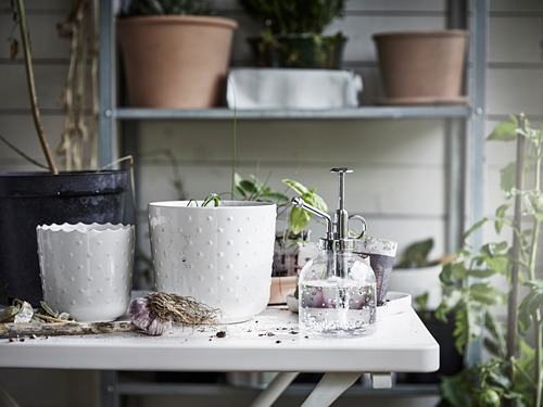 SESAMFRÖN, plant mister