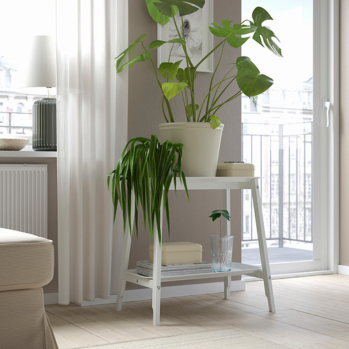 KÖRSBÄRSBJÖRK, blómapottur