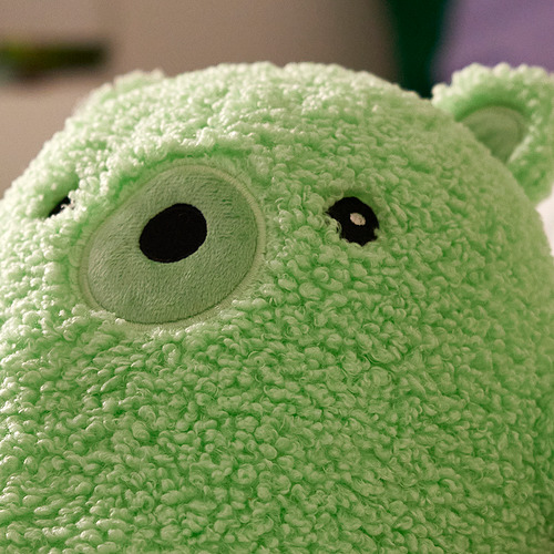 GREJSIMOJS, mjúkdýr