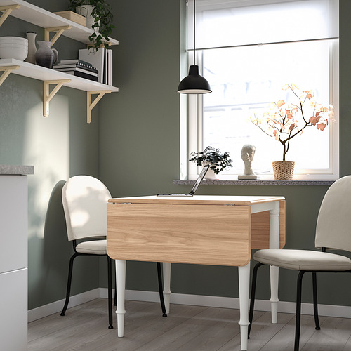 DANDERYD/EBBALYCKE, table and 2 chairs