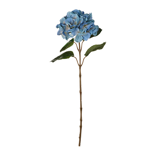 Gerviblóm, 55 cm, inni/úti/hortensía blátt