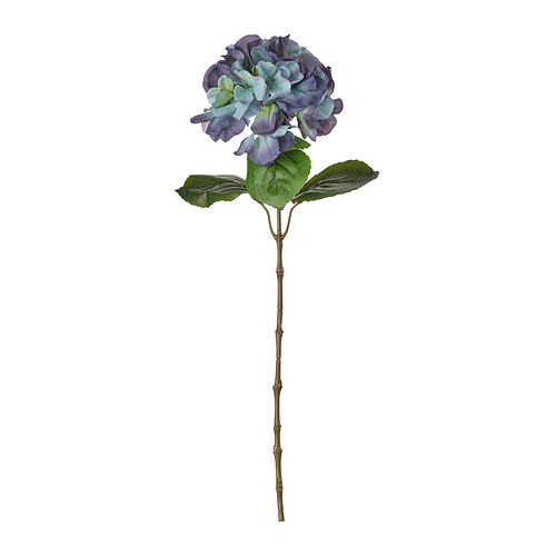 Gerviblóm, 55 cm, inni/úti/hortensía bláfjólublátt