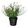 FEJKA, artificial potted plant