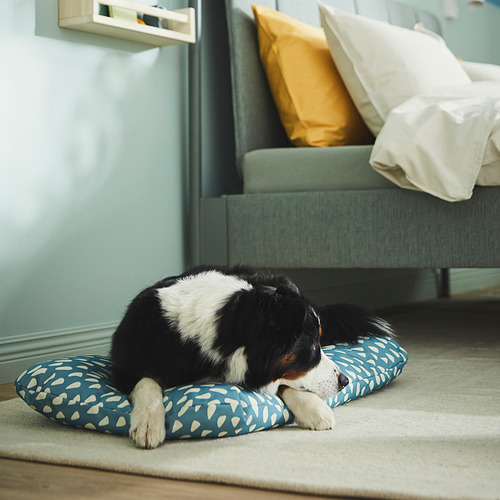 UTSÅDD, pet cushion