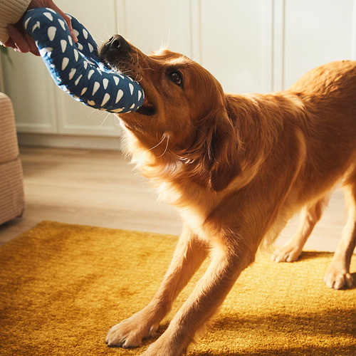 UTSÅDD, soft toy for dog