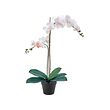 FEJKA artificial potted plant