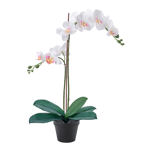 FEJKA, gervipottablóm