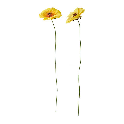 GULDSPETT, gerviblóm