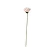 GULDSPETT artificial flower
