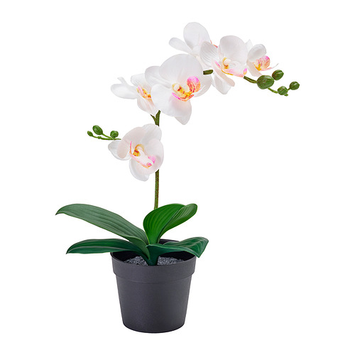 FEJKA, gervipottablóm