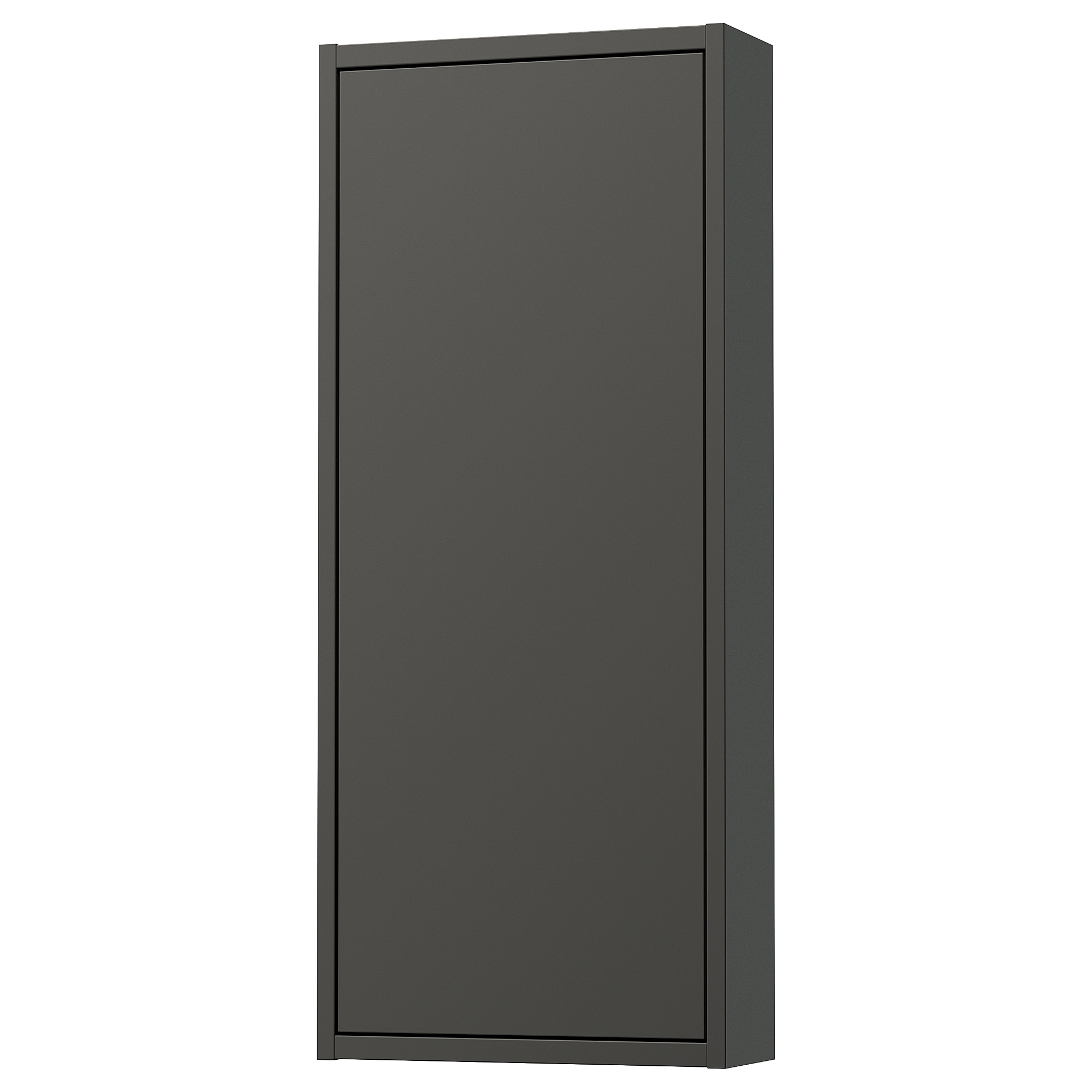 HAVBÄCK wall cabinet with door