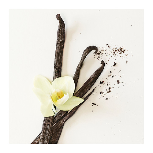 TÖRNFÅGEL, ilmkerti í glasi
