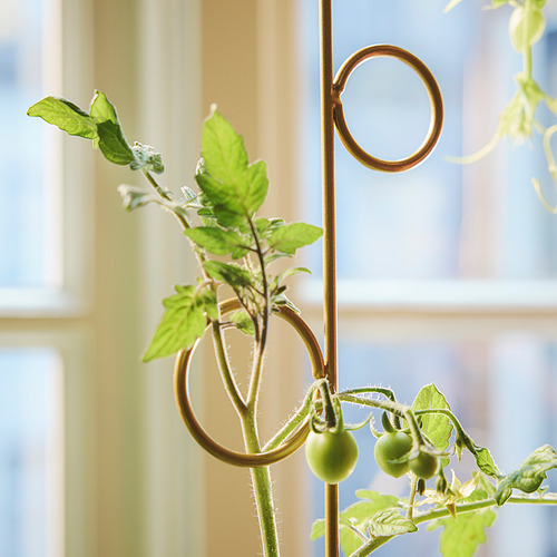 DOFTRIPS, plöntustuðningur, 2 í setti