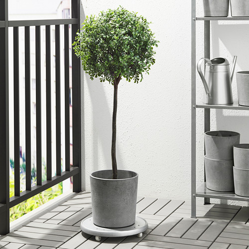 BOYSENBÄR, plant pot