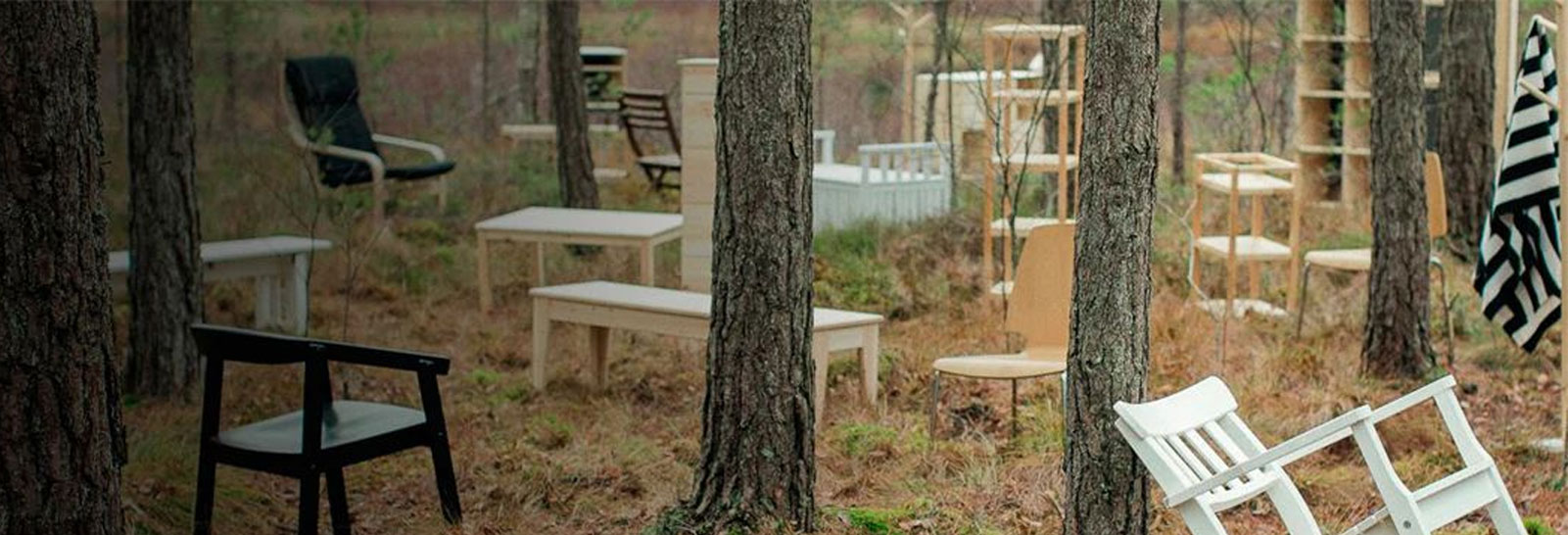 forrest with chairs