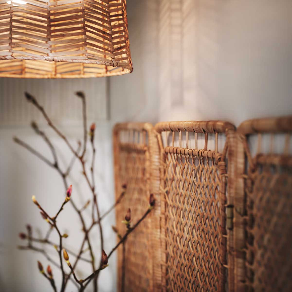 A rattan TOLKNING room divider against a wall with a KAPPELAND pendant lamp above it and some foliage in front.