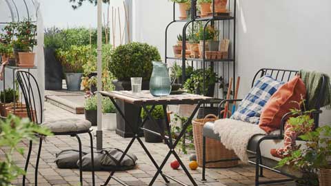 The joys of growing a spring garden